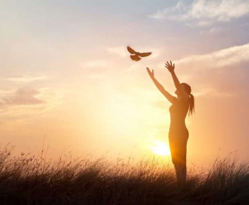 liberation